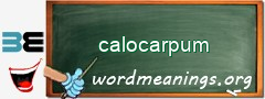 WordMeaning blackboard for calocarpum